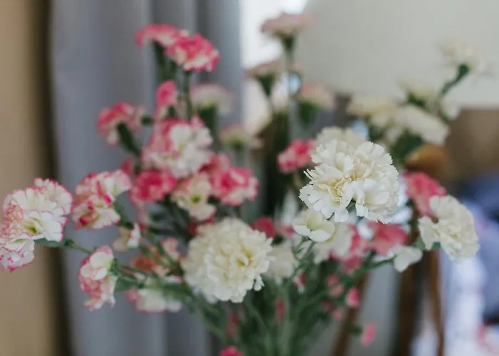 - W Centrum Z Parkingiem - Swietna Lokalizacja - * 쳉스토호바